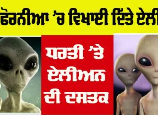 Aliens News