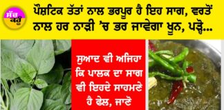 Chaulai Saag Benefits