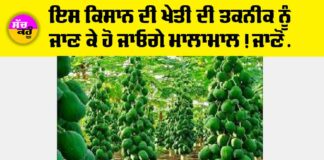 Kisan News