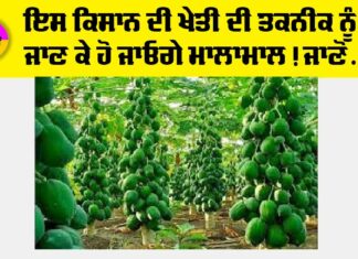 Kisan News