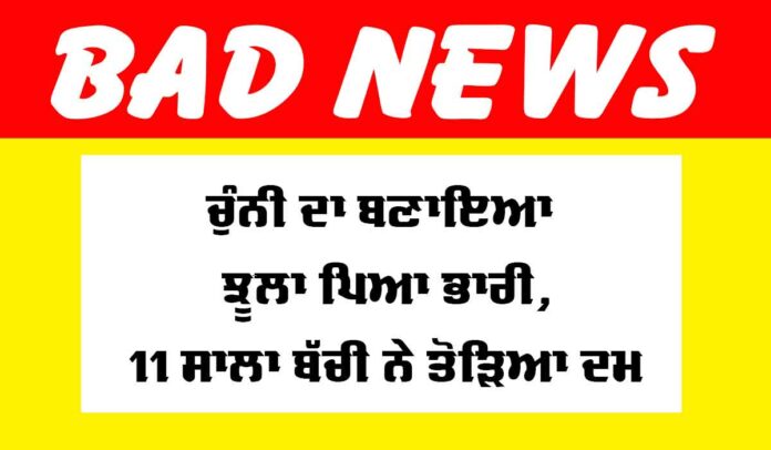 Ludhiana News