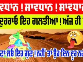 punjabi motivational story