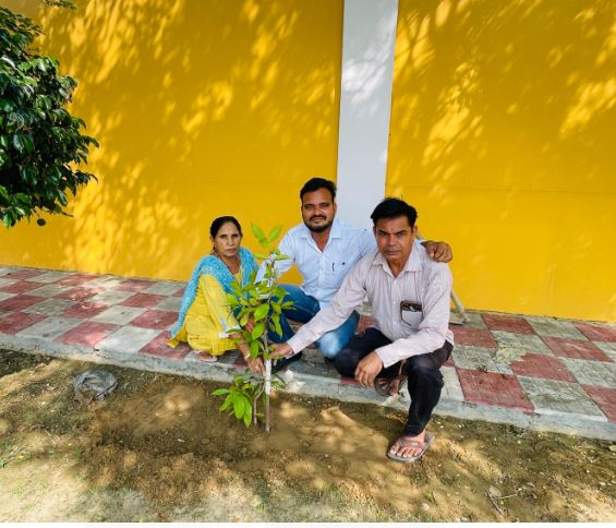 Tree Plantation