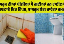 Bathroom Cleaning Tips