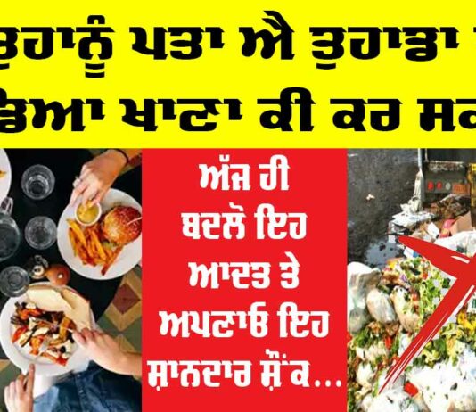 Waste Food Quotes in Punjabi