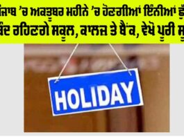 Punjab Holidays