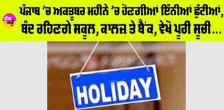 Punjab Holidays