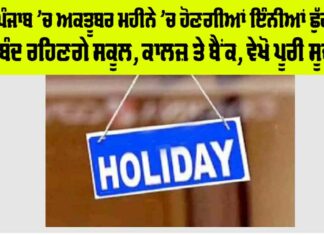 Punjab Holidays