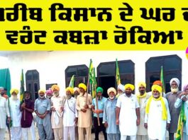 Punjab Kisan News