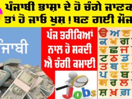 Earn Money Punjabi