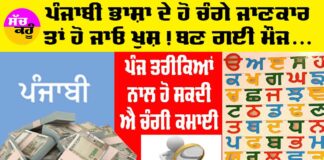 Earn Money Punjabi