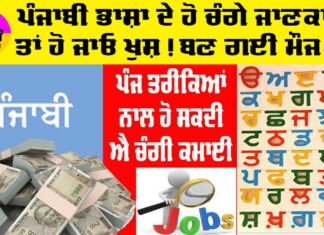 Earn Money Punjabi