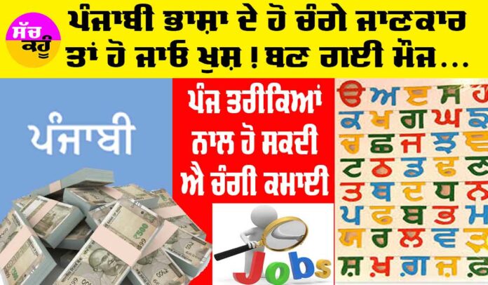 Earn Money Punjabi