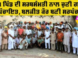 Sarpanch Elections Punjab