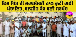 Sarpanch Elections Punjab