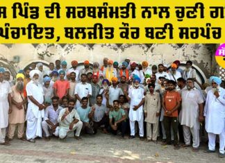 Sarpanch Elections Punjab