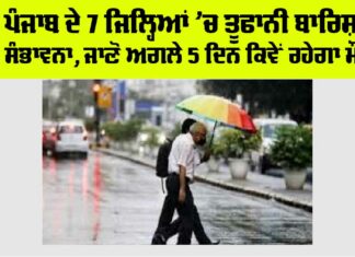 Punjab Weather News