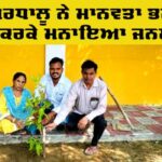 Tree Plantation