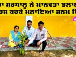 Tree Plantation