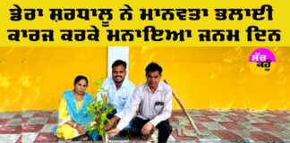 Tree Plantation