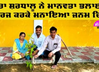 Tree Plantation