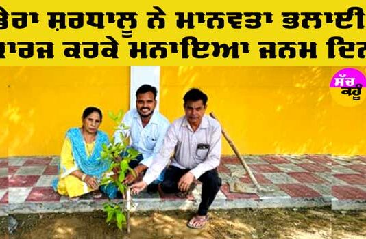 Tree Plantation