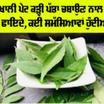 Curry Leaves Benefits