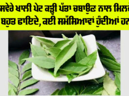 Curry Leaves Benefits