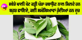 Curry Leaves Benefits