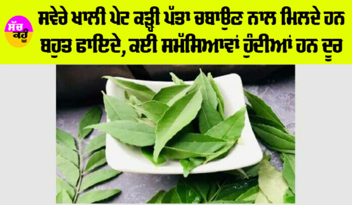 Curry Leaves Benefits