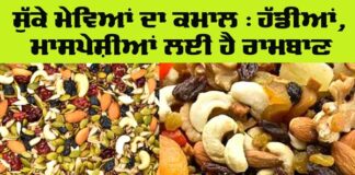 Dry Fruits Benefits