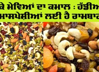 Dry Fruits Benefits