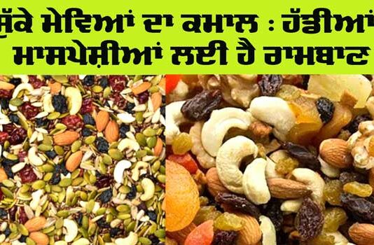 Dry Fruits Benefits