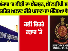 ED Punjab News