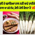 Foods To Avoid With Radish