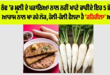 Foods To Avoid With Radish