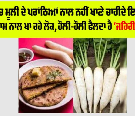 Foods To Avoid With Radish