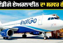 Indigo Airline System