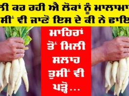 Radish Ke Fayde