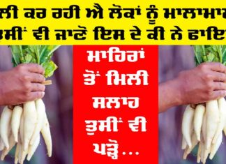 Radish Ke Fayde