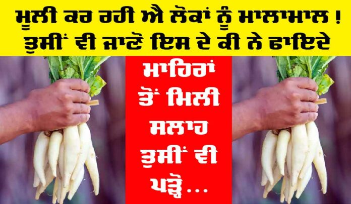 Radish Ke Fayde