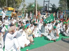 Punjab farmers protest