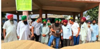 Punjab Kisan News