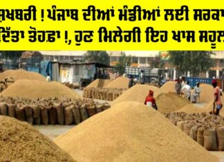 Punjab Government