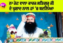 Saint Dr MSG