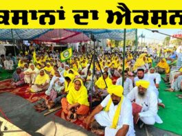 Punjab farmers protest