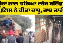 Bathinda News