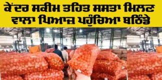 Central Government Onion Scheme