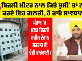 Free Electricity Punjab