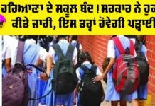 Haryana School Closed